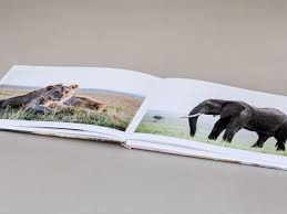 A beautiful keepsake photo album to treasure your special moments. Layflat Photo Books Bob Books