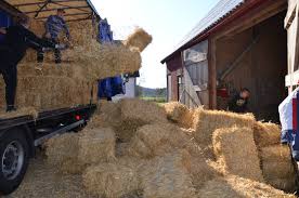 Image result for site:byggahus.se österrike