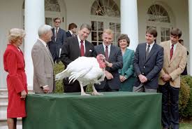 Check spelling or type a new query. The White House 45 Archived On Twitter Did You Know Sparing The National Thanksgiving Turkey From Becoming Dinner Became A Tradition Under President Reagan Find Out More About Thanksgiving At The White