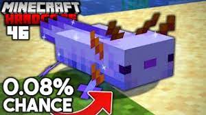 We did not find results for: I Found The Rarest Axolotl In Minecraft Hardcore 46 Youtube