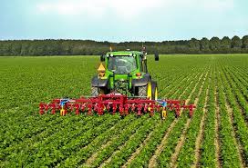 Un Timisorean Castigător Al Unei Licitaţii Organizate De Fisc A Rămas Cu Buza Umflată