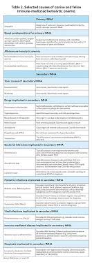 Immune Mediated Hemolytic Anemia Understanding And Diagnosing A Complex Disease