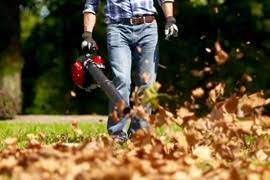 2021 Leaf Removal Costs Yard Clean Up Costs Fall Spring