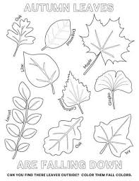 Direct your students to create individual posters of a special event or experience that happens during their favorite seasons. Easy Autumn Leaf Activities And Tracing Page Tyee Outdoor Experience Leaf Coloring Page Fall Coloring Pages Fall Leaves Coloring Pages