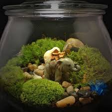 Siam Elephant Terrarium Moss Terrarium Mini Terrarium Unique Terrarium
