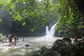 99% pencari hidupan liar memilih untuk melancong ke afrika untuk perjalanan safari epik. Tabin Wildlife Resort Lahad Datu Lahad Datu Info Facebook