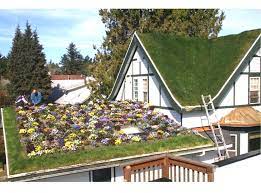 Check spelling or type a new query. Troy S Green Roof Greenroofs Com