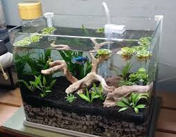 This Is Not A Bad Tank But Undergravel Filters Are Very Outdated And Inefficient Plus There Is Absolute Betta Tank Fish Tank Themes Fish Aquarium Decorations