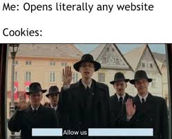 We're alpaca house, a peruvian company dedicated to the production of alpaca fur rugs directly from peru. Allow Us To Introduce Ourselves 9gag