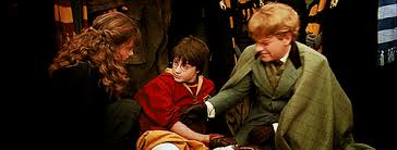 What is a healing spell commonly used in the hospital wing?. I M Pretty Sure They Could Have Saved Dobby Vr Goggles