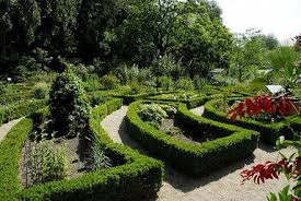 Amsterdam Hortus Botanicus Amsterdam Hotel Amsterdam Things To Do In Tourism
