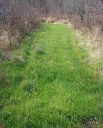 Second, bow hunting food plots and small ones at that are tucked back in the farthest often unreachable ends of the property. Guide To Creating Food Plots For White Tailed Deer Ohioline