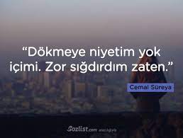Dokmeye Niyetim Yok Icimi Zor Sigdirdim Zaten Cemal Sureya Sozleri Yazar Sair Kitap Siir Ozlu Anla Cool Words Meaningful Sentences Thoughts Quotes