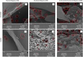 Azmin a.'nın bütün fotoğraflarını, tavsiyelerini, listelerini ve arkadaşlarını gör. Biosorption Potential Of Natural Pyrolysed And Acid Assisted Pyrolysed Sugarcane Bagasse For The Removal Of Lead From Contaminated Water Peerj