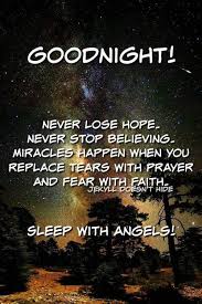 Pin By Berdie Creech On Holiday Greetings Memes Good Night Quotes Never Lose Hope Night Quotes