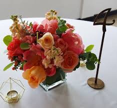 Apple tree branch with flowers. Appletree Flowers Appletreeflower Twitter