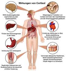 Das vollmondgesicht1 (auch mondgesicht, lat. Cushing Syndrom Hyperkortisolismus Ursachen Symptome Behandlung Medlexi De