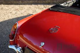 Image result for Flamenco 1977 MG