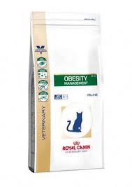 Royal Canin Obezite Yonetimi Dp 42 Feline
