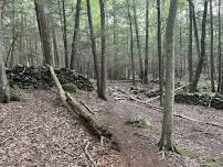 August Volunteer Work Session — Pound Ridge Land Conservancy