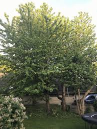 Image result for site:byggahus.se meteorologi