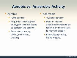 Aerobic Vs Anaerobic Activity