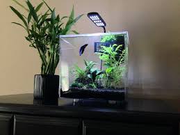 Pin By Geminirose 3030 On Aquario Betta Tank Small Fish Tanks Aquarium Fish Tank