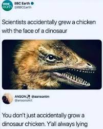 Image result for http://i.imgur.com/9sBdVpV.jpg