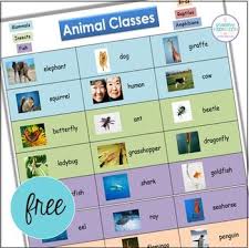 Animal Classes Reference Chart