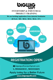E) background of company/organization brief. Bigwigsoft Internship Industrial Project Training Bigwigsoft Is The Next Generation Game Softw Training Software Science Background Software Development