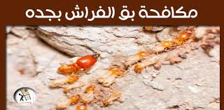 مكافحة بق الفراش بجده Food Condiments