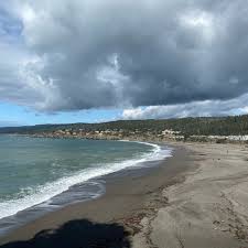 Photos at Gualala Point Regional Park - Trail