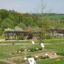 Website luxus madeira botanischer garten hopemitocom Botanischer Garten Der Universitat Ulm Gastfreund