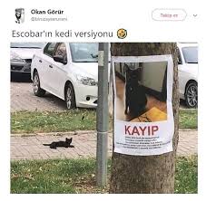 Anlamli Dusundurucu Eglenceli Guzel Komik Konusan Resimler Konusan Resimler Www Kizlarinsirlari Club Resimler Komik Komik Capsler