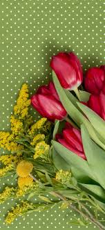 With green screen live recording app, you can record yourself using the front camera or the back camera and change the background behind you. Red Tulips Light Green Background 1242x2688 Iphone 11 Pro Xs Max Wallpaper Background Picture Image