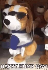 We did not find results for: Happy Hump Day Gifs Tenor