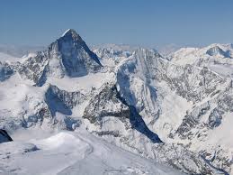 We did not find results for: Bishorn 4153 M