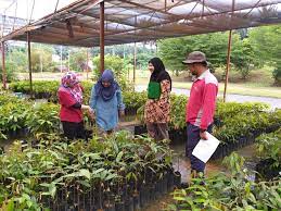 November 15, 2015november 25, 2015. Jualan Pelbagai Hasil Pertanian Dan Anak Pokok Buah Buahan Di Putramart Upm University Agriculture Park