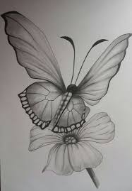 How to draw a butterfly on a flower. Easy Pencil Drawing Butterfly Novocom Top