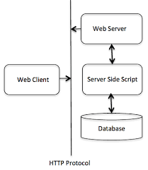 Python - Cgi Programming