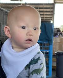 黑龍Black Dragon 蒂芬妮Tiffany...