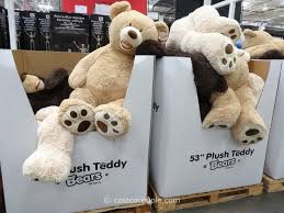 Valentine's day teddy bear at walmart, check out my store walkthrough of all valentine's day teddy bear at walmart, they have a. 53 Inch Plush Teddy Bear Costco Teddy Bear Huge Teddy Bears Teddy Bears Valentines