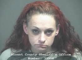 BAILEY, ANNA MARIE Charges: USE/POSSESSION OF DRUG PARAPHERNALIA TAMPERING  WITH EVIDENCE INTRODUCTION IN PENAL FACILITY-DRUGS MAN/DEL/SELL SCHED I-VII  DRUGS (OTHER) MAN/DEL/SELL SCHED I-VII DRUGS (OTHER) This information and  more is available https ...