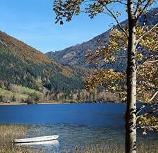 Wandern direkt ab da möglich. Stadtflucht Ausflug Zum Lunzer See Goodnight