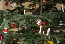 Wann haben sie die schule beendet? Entsorgung Der Weihnachtsbaume Beginnt Radio Waf