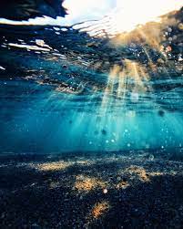 I Love Underwater Shots So Gorgeous Ocean Photography Nature Photography Nature Pictures