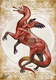 Griffin Anatomy Natural History Of The Fantastic By Christopher Stoll Natural History Mythical Creatures Art Anatomy