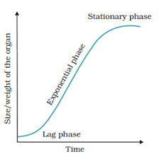 Exponential growth curve can be expressed as, here 'r' is the relative growth rate and also a measure of the ability of the plant to produce new plant material, referred to as efficiency index. Plant Growth Development Study Material For Neet Aipmt Medical Exams Askiitians