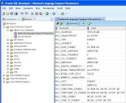 The above query shows the local ip as well as the listening port number. Viewing Database Version And Globalization Information