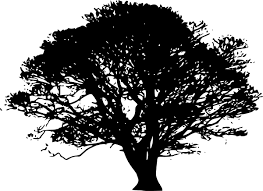 Pin By Debbie Hart On Art Inspiration Silhouette Clip Art Oak Tree Silhouette Tree Silhouette